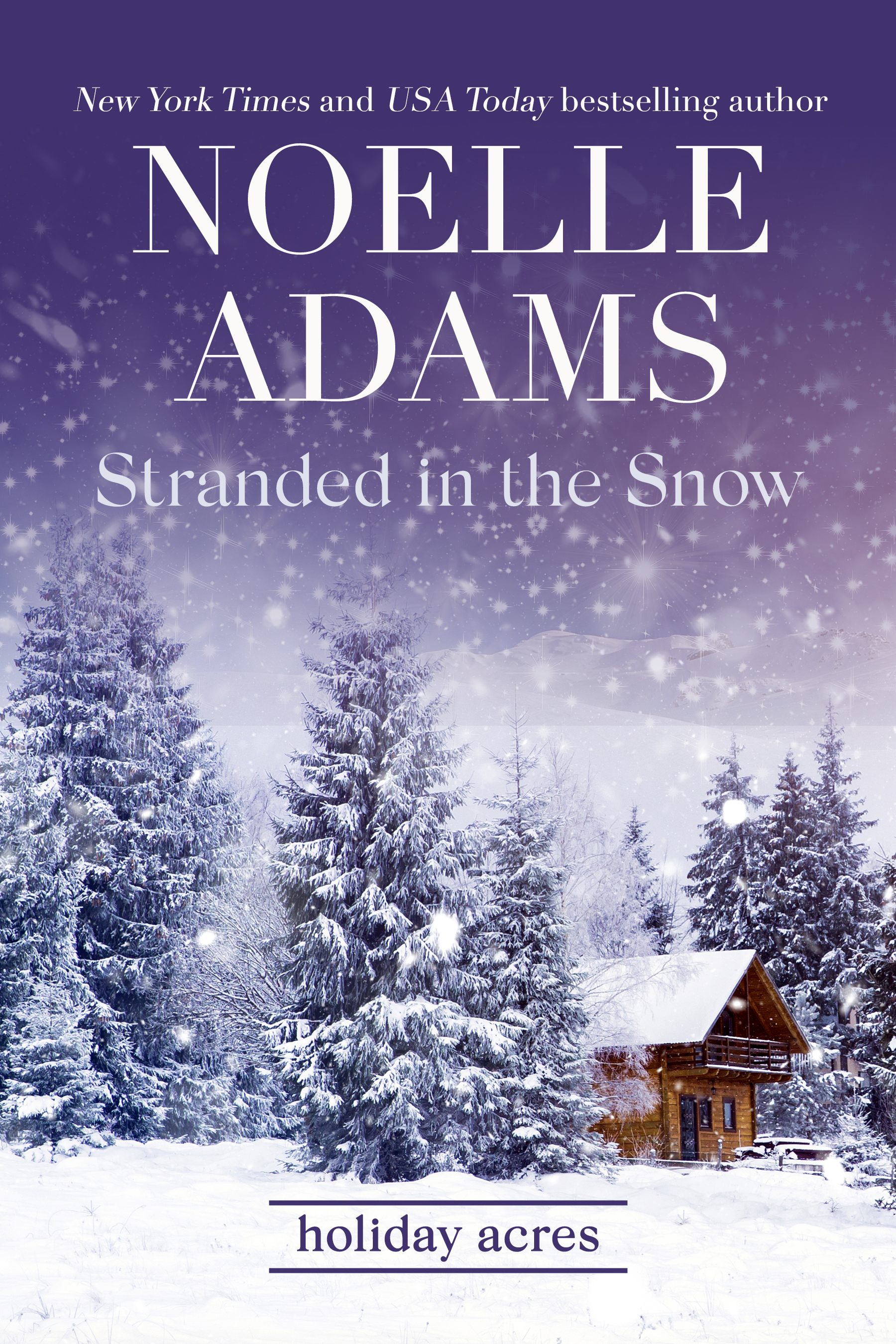 Holiday Acres book cover 2