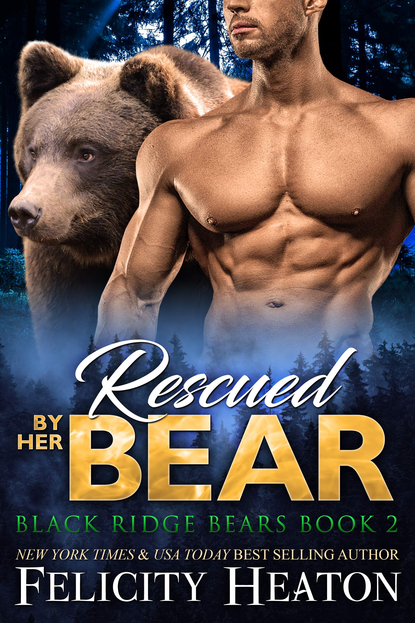 Black Ridge Bears book cover 2