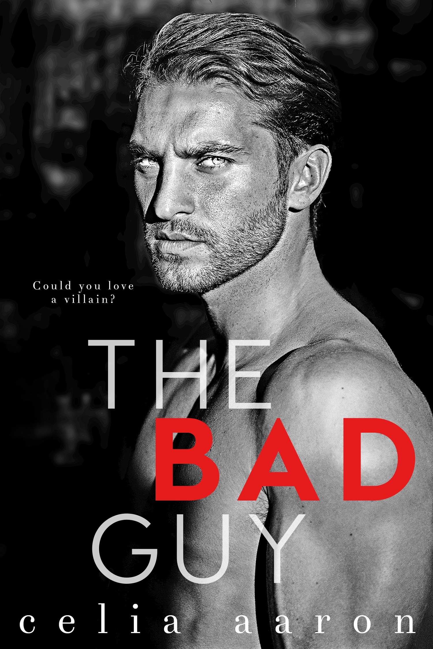 The Bad Guy book cover
