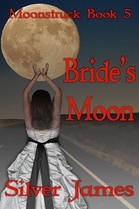 Bride's Moon book cover