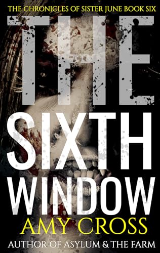 The Sixth Window book cover