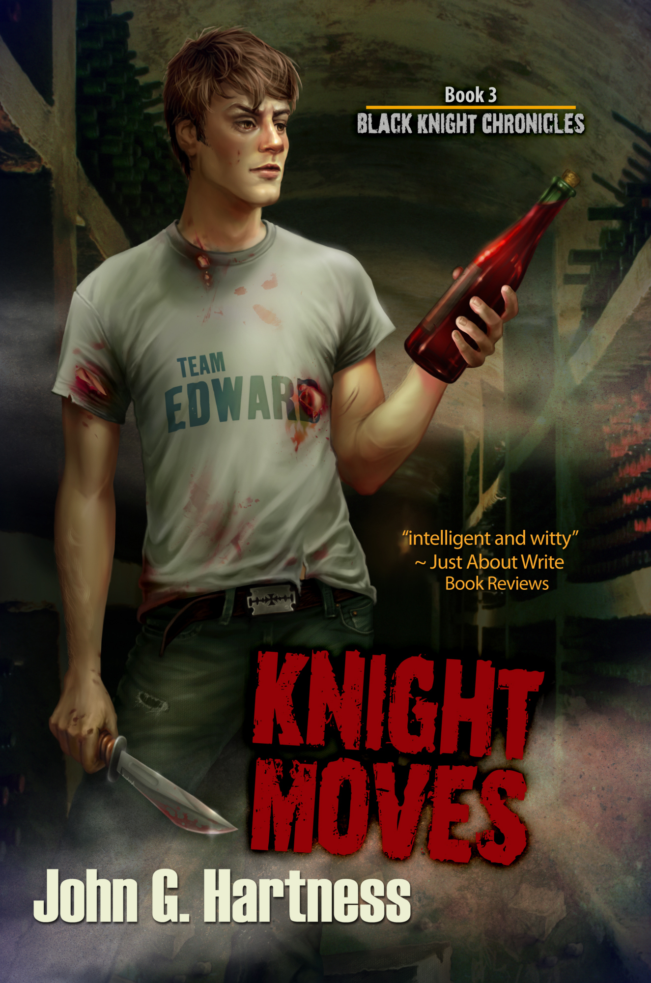 Black Knight Chronicles book cover 3