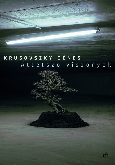 Áttetsző viszonyok book cover