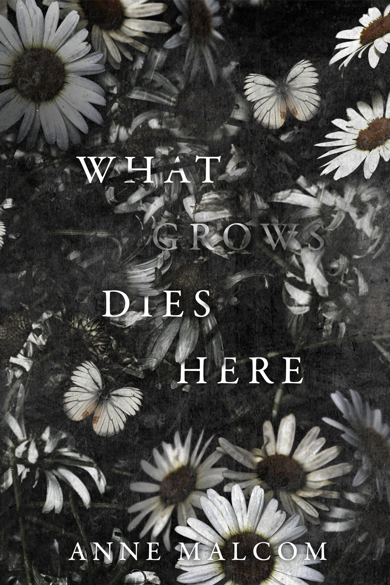 What Grows Dies Here book cover