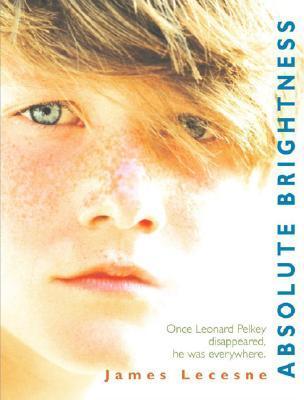 Absolute Brightness book cover
