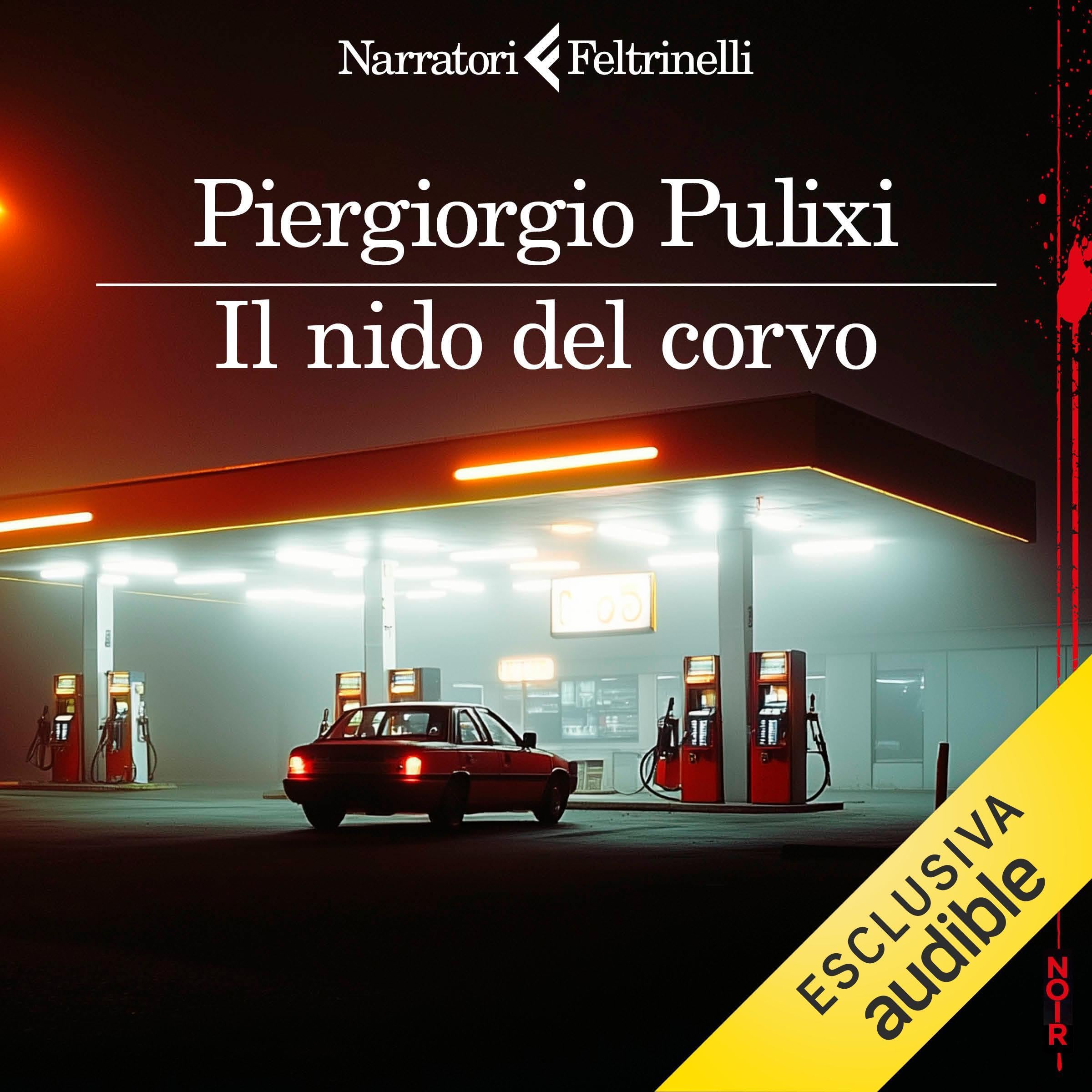 Il nido del corvo book cover