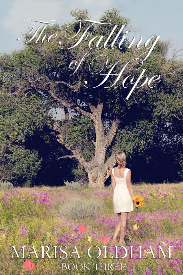 Falling book cover 3