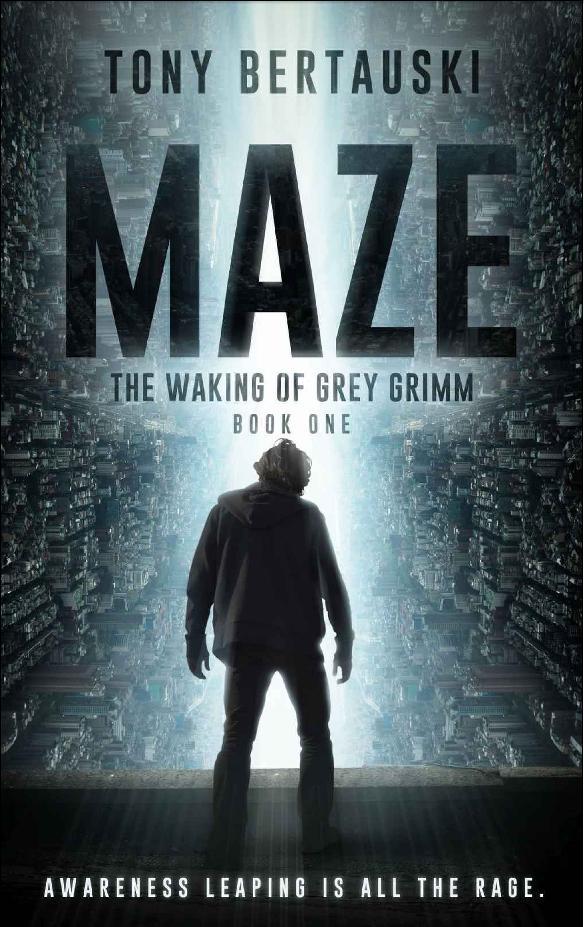 Maze book cover