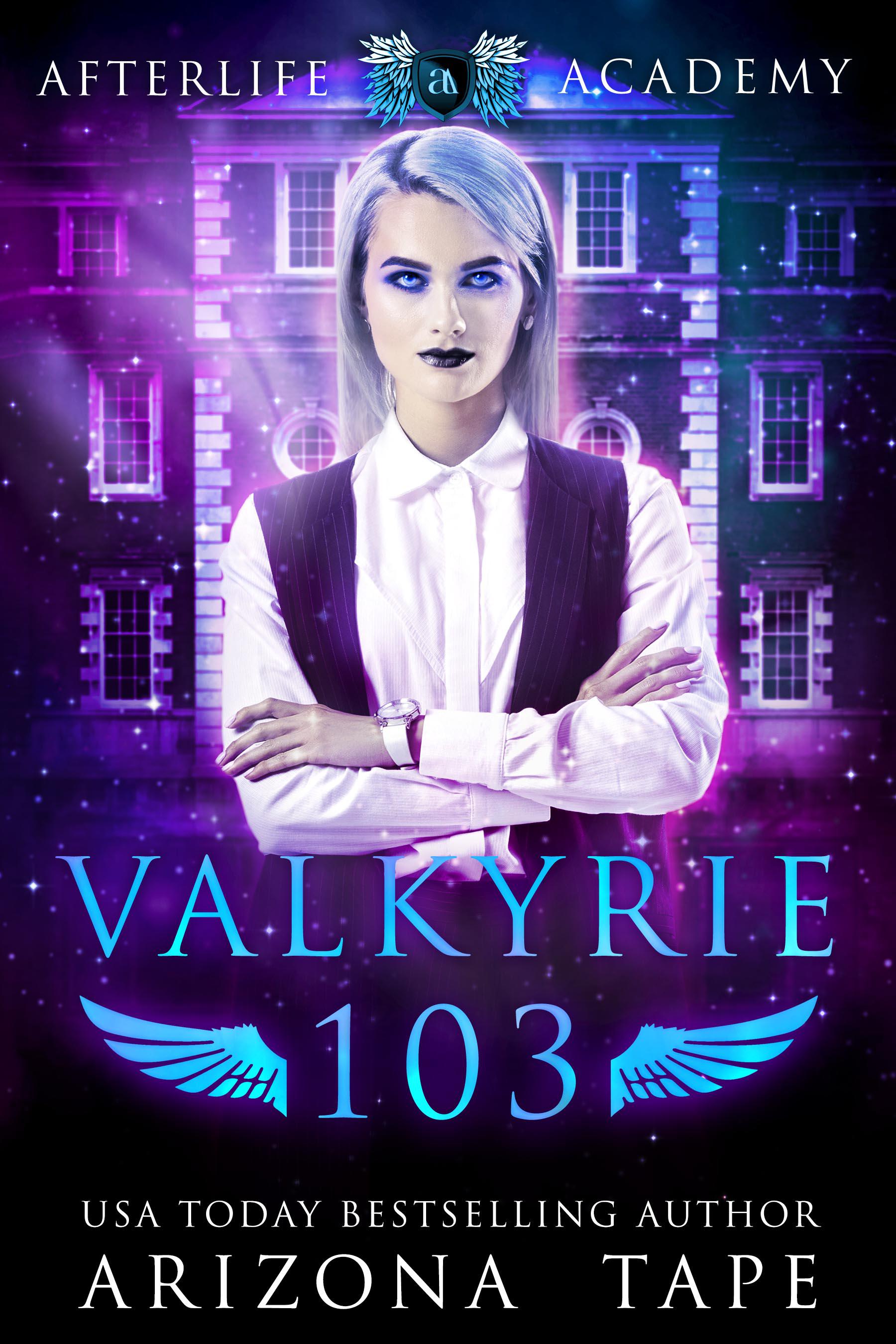The Afterlife Academy: Valkyrie book cover 3