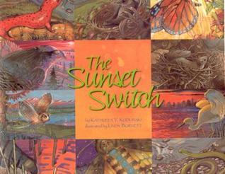 The Sunset Switch book cover