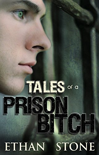 Tales of a Prison Bitch book cover