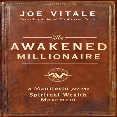 The Awakened Millionaire book cover