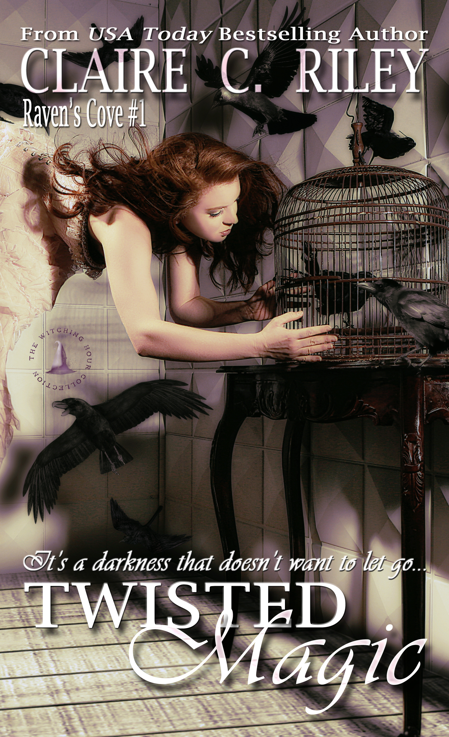 Raven's Cove book cover 1