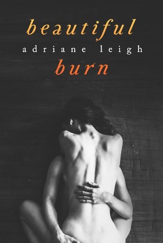 Beautiful Burn book cover