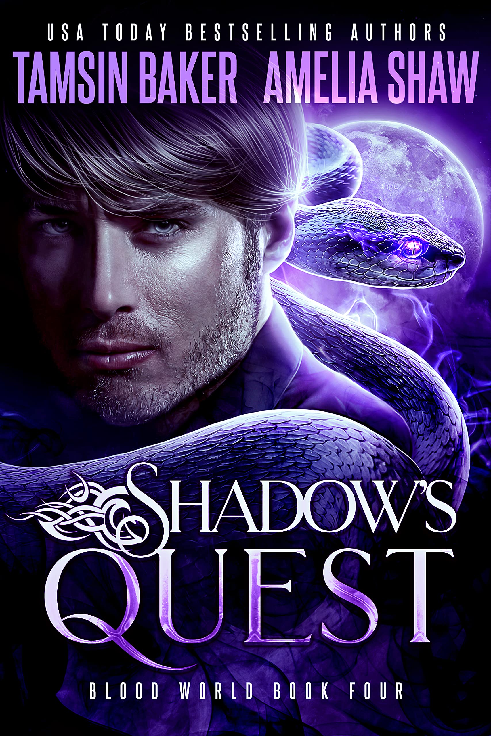 Shadow's Quest book cover