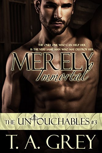 The Untouchables book cover 3