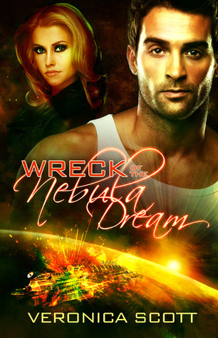 Wreck of the Nebula Dream book cover