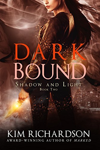 Shadow and Light book cover 2