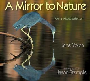 A Mirror to Nature book cover