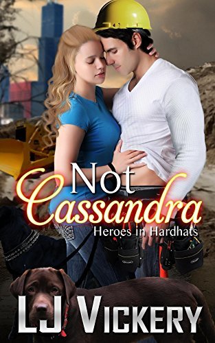 Heroes in Hardhats: Boston book cover 1