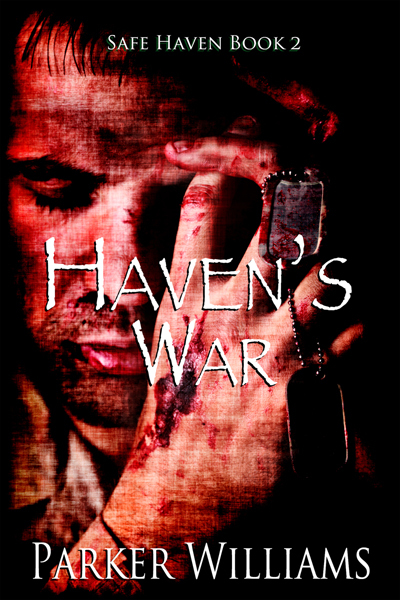 Safe Haven book cover 2