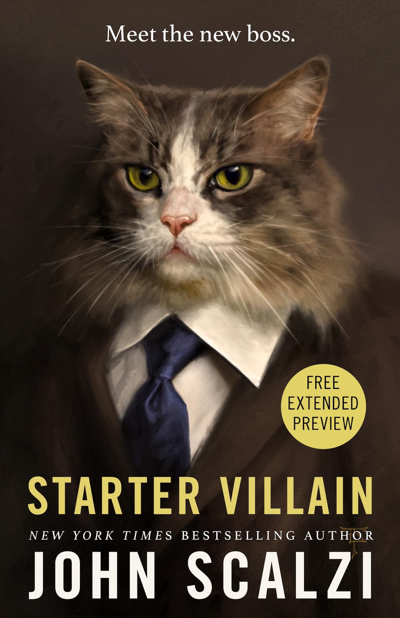 Sneak Peek for Starter Villain book cover
