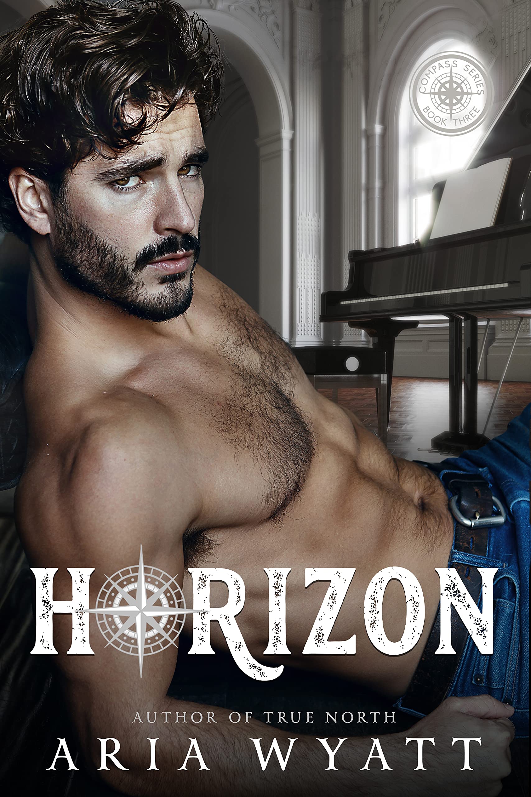 Compass book cover 3