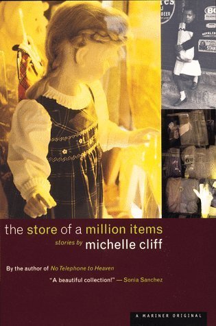 The Store of a Million Items book cover