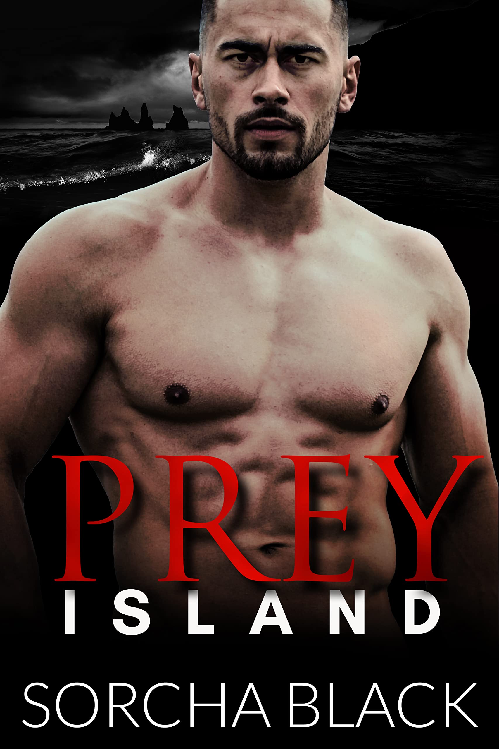 Prey Island book cover