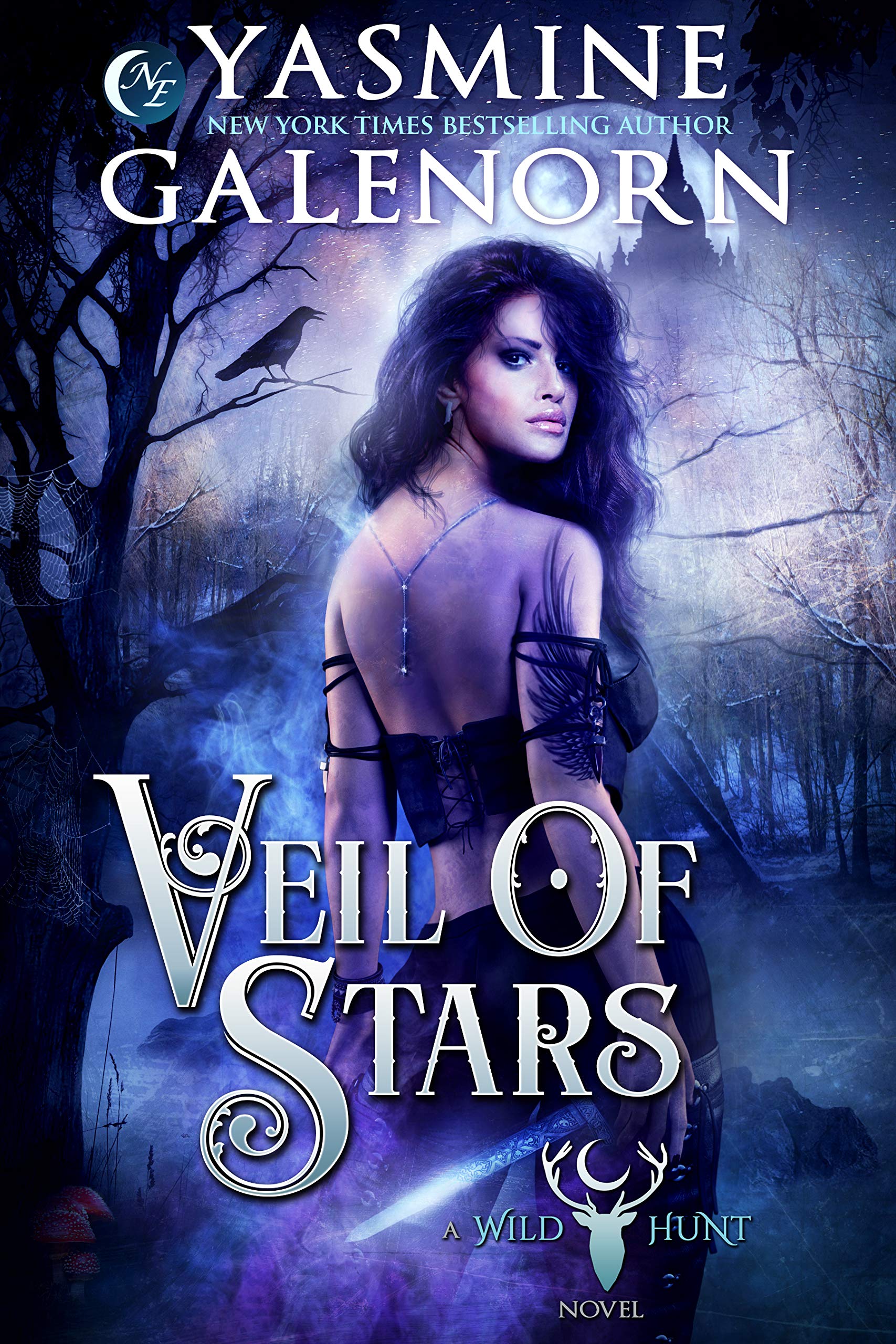 Veil of Stars book cover