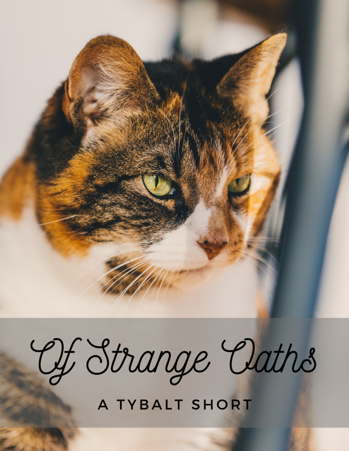 Of Strange Oaths book cover