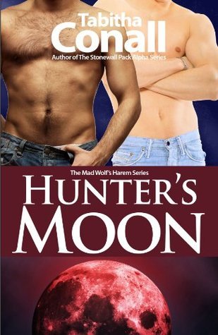 A Mad Wolf's Harem book cover 2