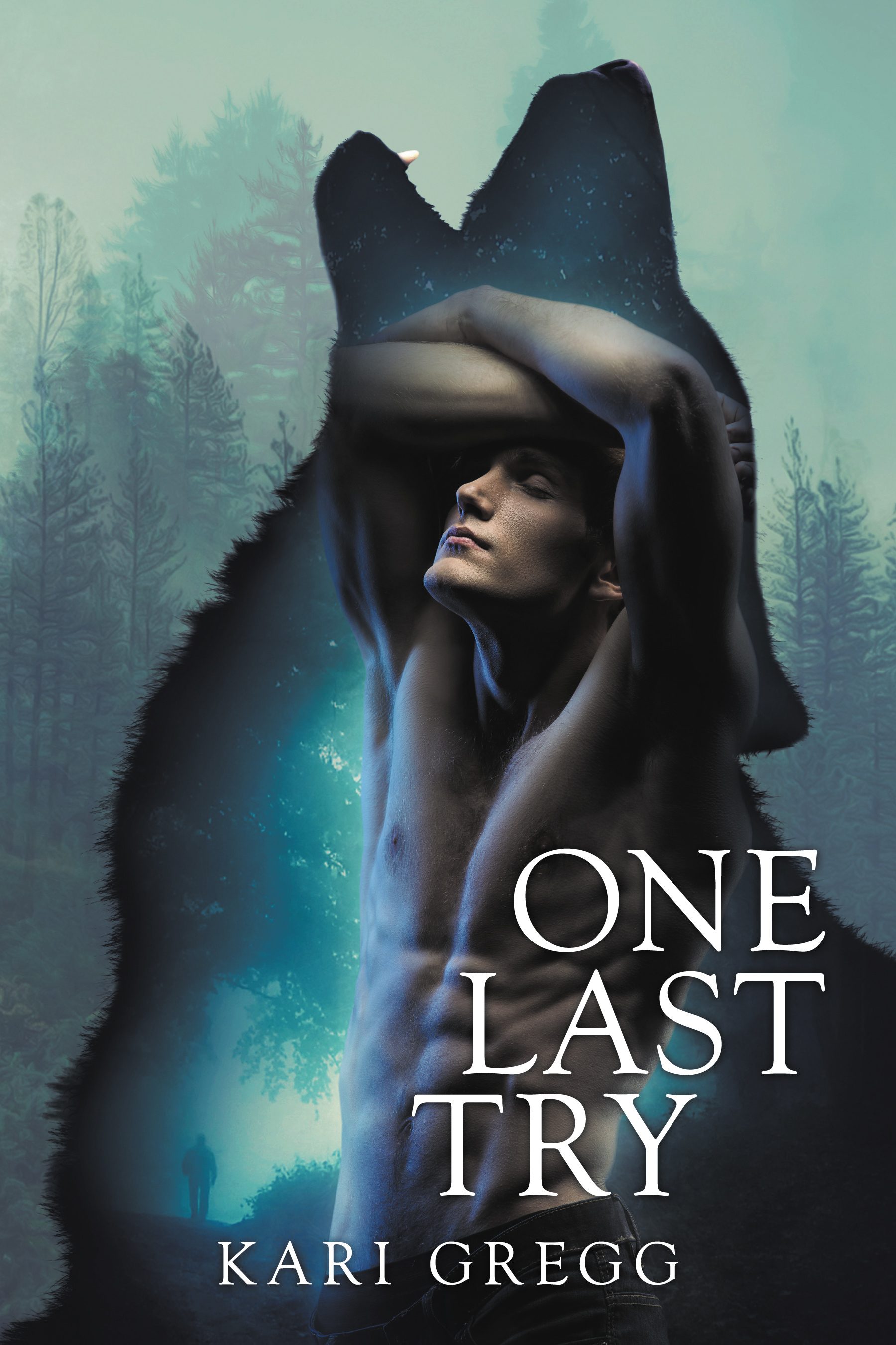 One Last Try book cover