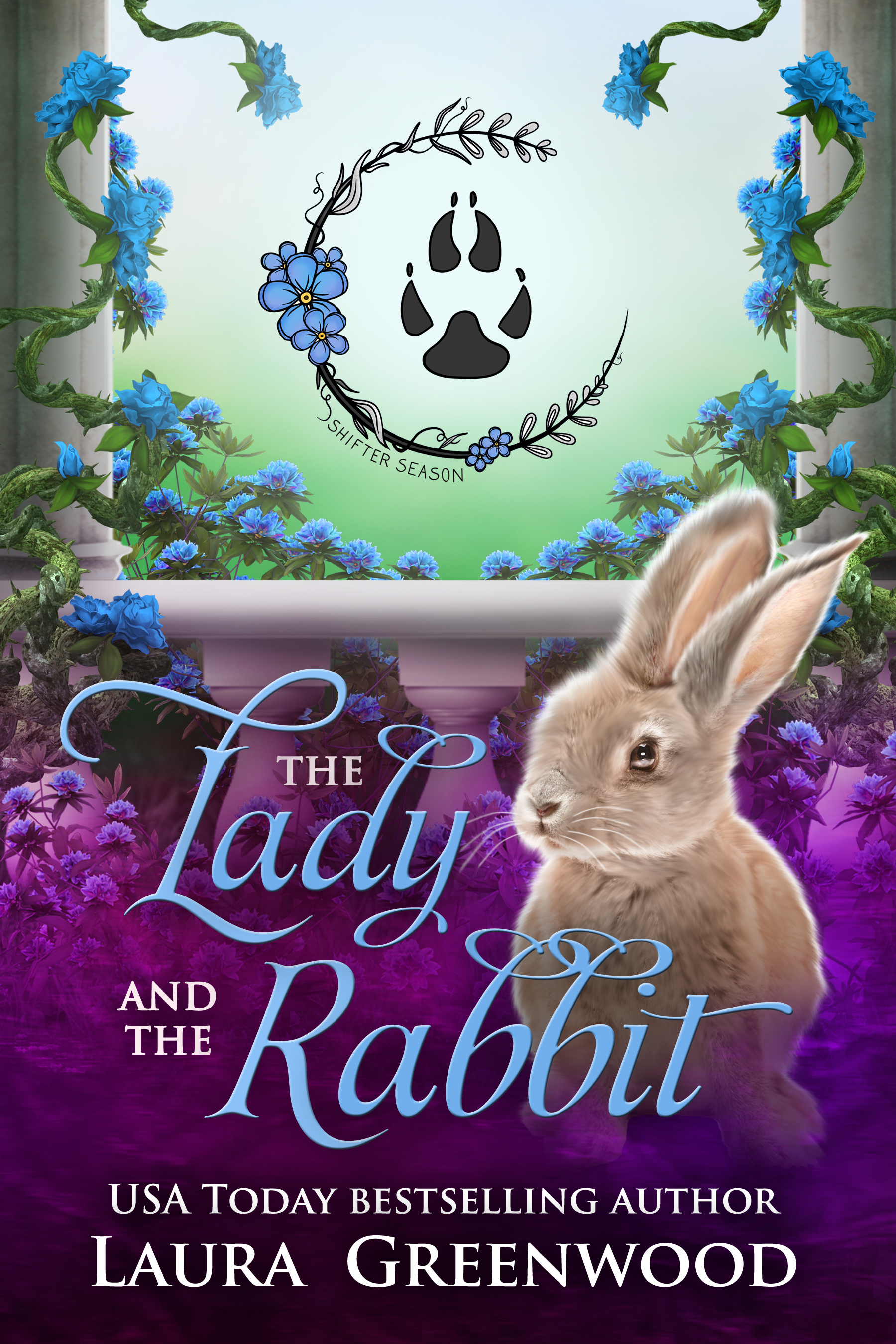The Lady and the Rabbit book cover