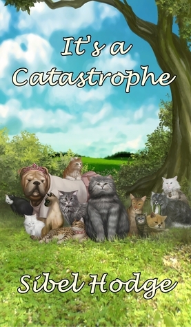 It's a Catastrophe book cover
