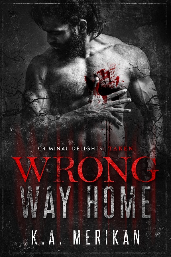 Wrong Way Home book cover