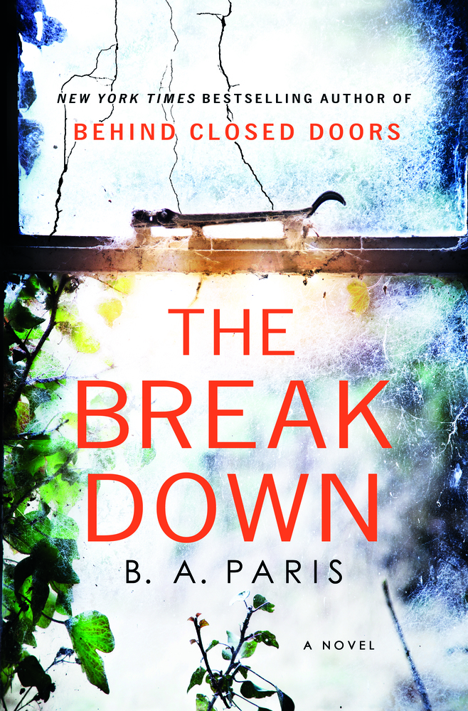 The Breakdown book cover