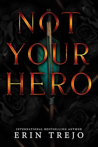 Not Your Hero book cover