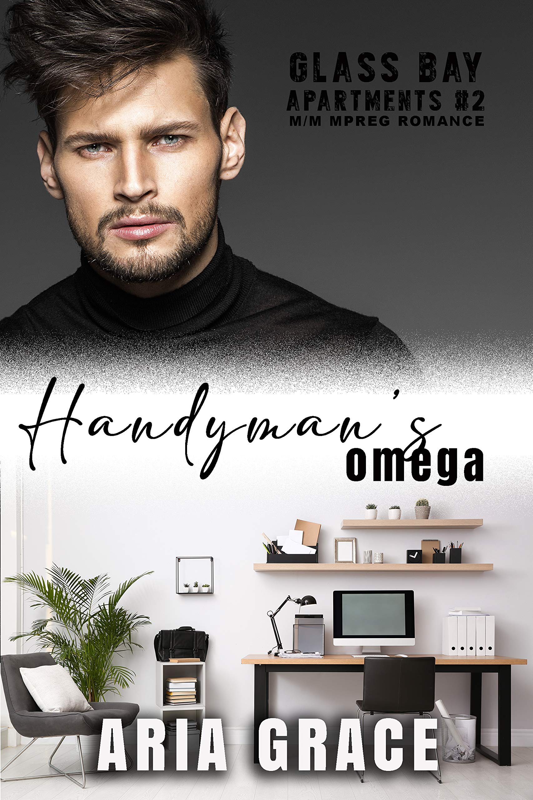 Glass Bay Apartments book cover 2