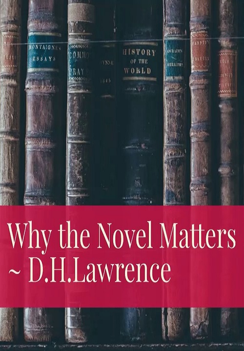 Why the Novel Matters book cover