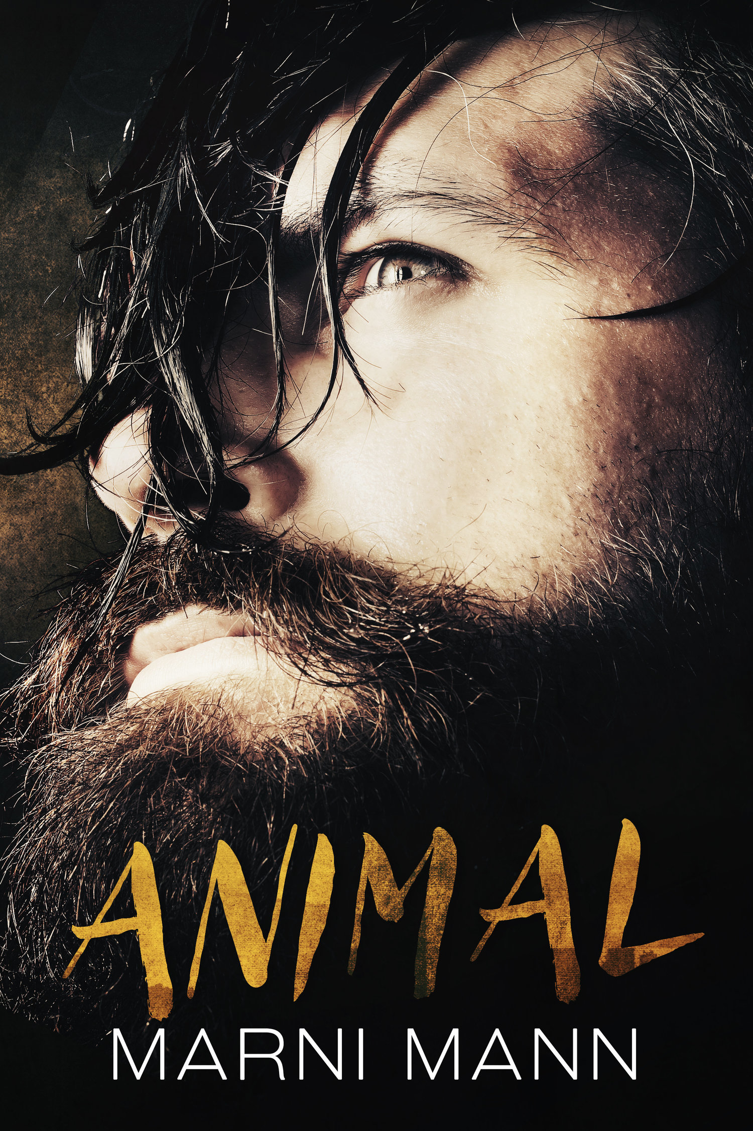 Prisoned book cover 2