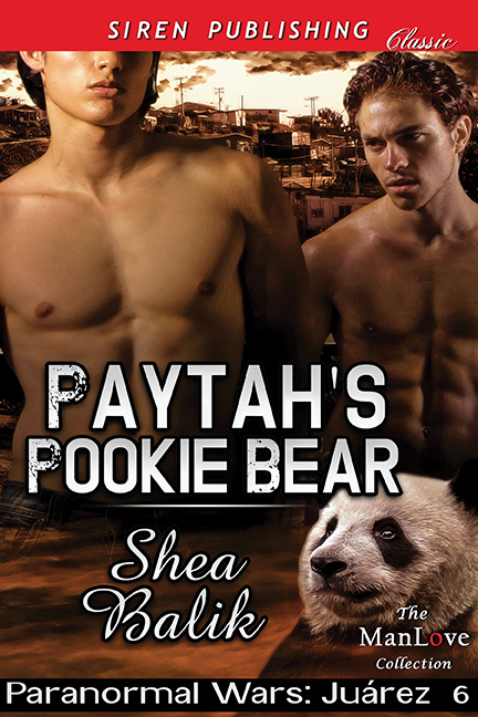 Paytah's Pookie Bear book cover