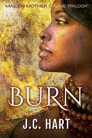 Burn book cover