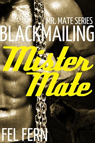 Mr. Mate book cover 1
