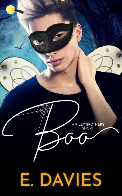 Boo book cover