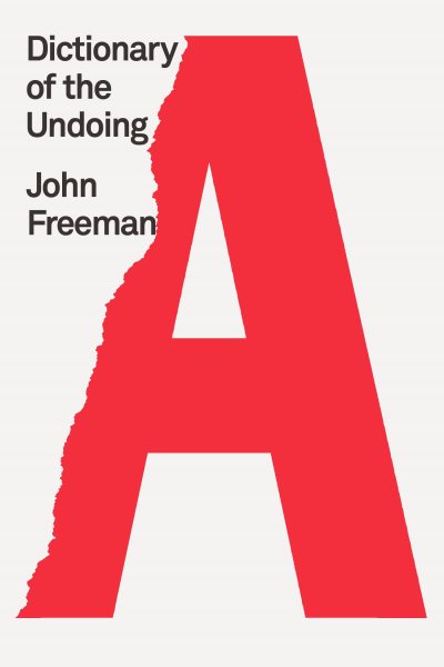 Dictionary of the Undoing book cover
