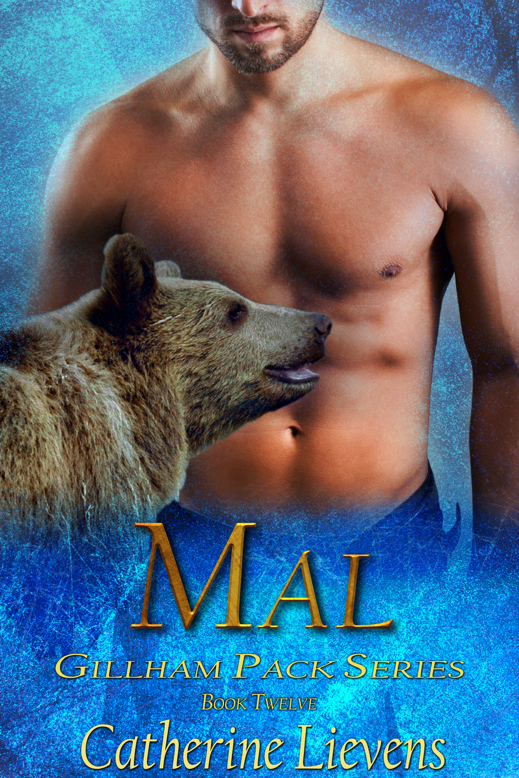 Mal book cover