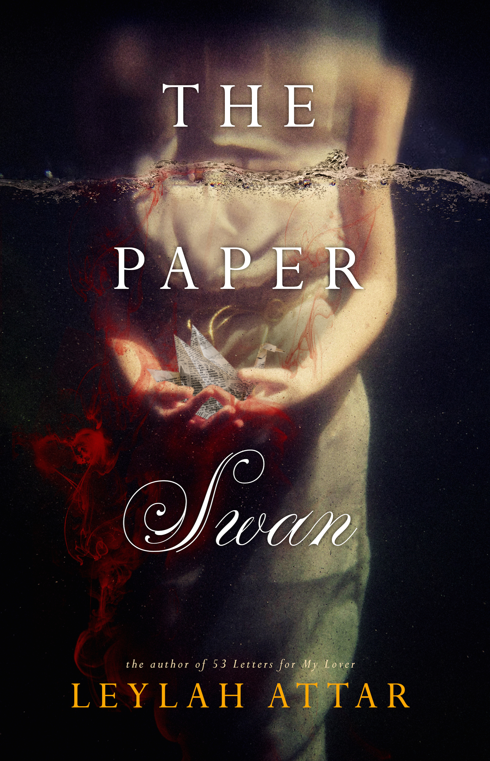 The Paper Swan book cover