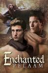 Enchanted book cover