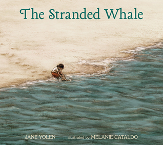 The Stranded Whale book cover